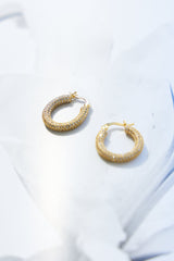 Dazzle Tonight Earrings