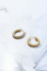 Dazzle Tonight Earrings