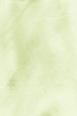 Dance Date Mini Dress Lime