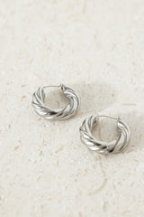 Buried Treasure Earrings Silver
