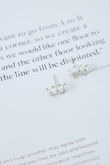 925 Sliver Something Special Earrings Silver