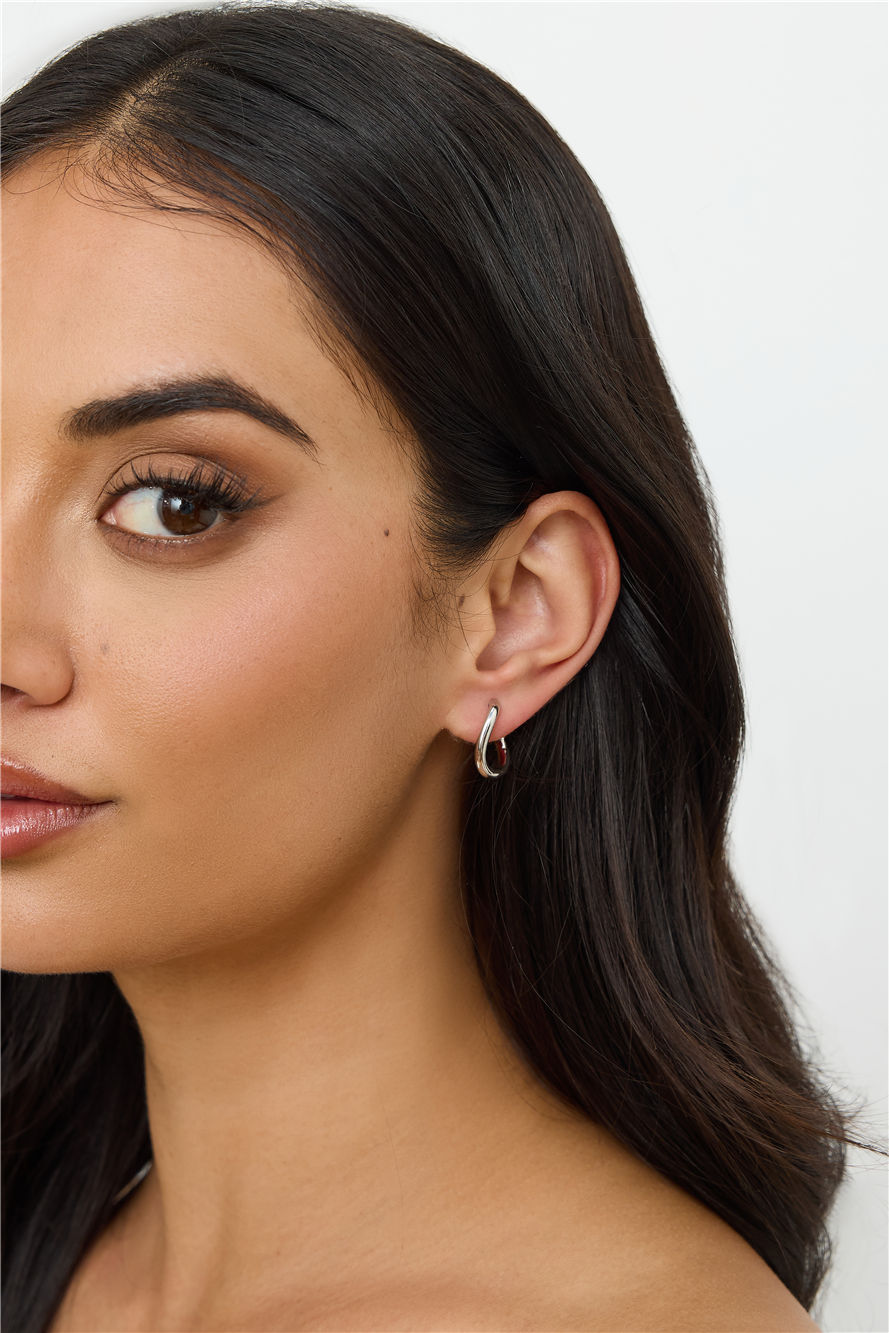Chicest Earrings Silver
