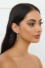 Lifestyle Earrings Silver