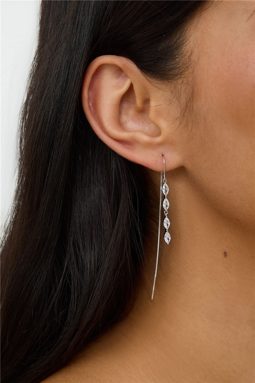 Lifestyle Earrings Silver
