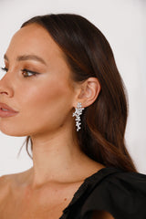 Diamond Dream Earrings Silver