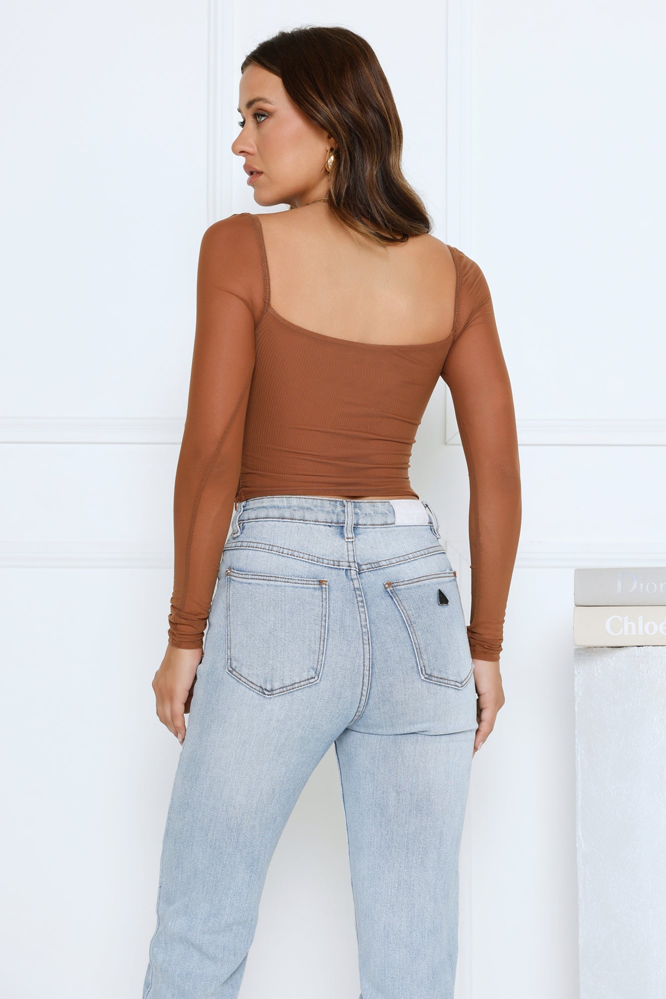 Decadent Style Mesh Long Sleeve Crop Top Brown