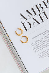 18K Gold Plated Pierce Of Your Heart Earrings