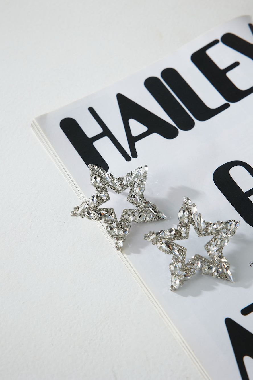 Extravagant Earrings Silver