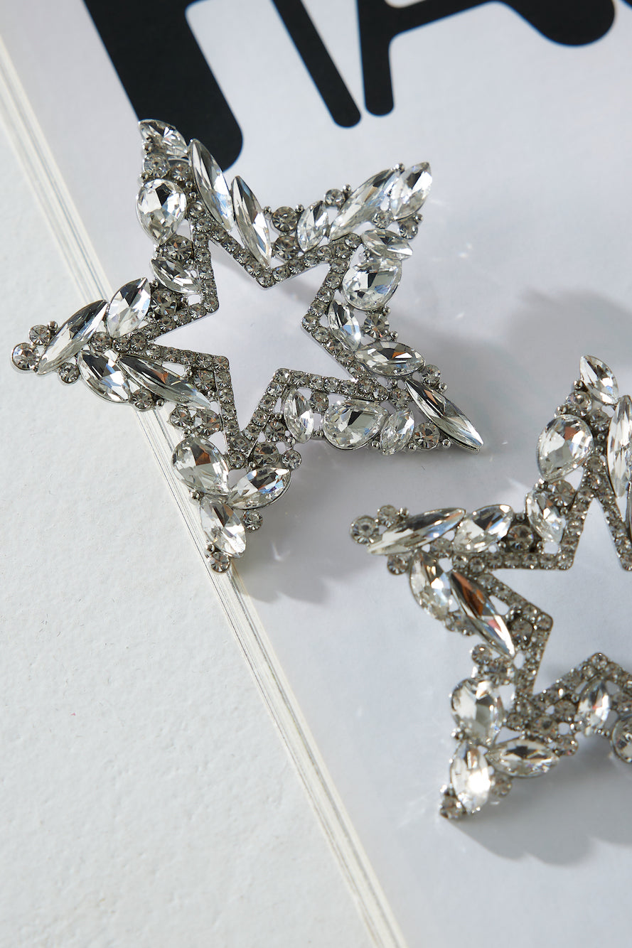 Extravagant Earrings Silver