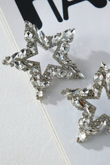 Extravagant Earrings Silver
