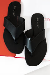 BILLINI Gray Slides Black